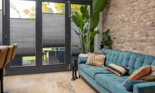 Plissegordijnen plant