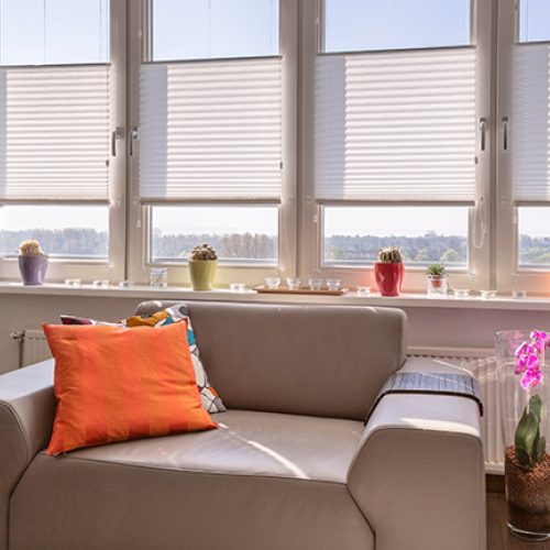 Plissés_standaard_720032