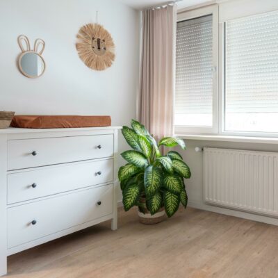 Rolluiken kleurstalen wit